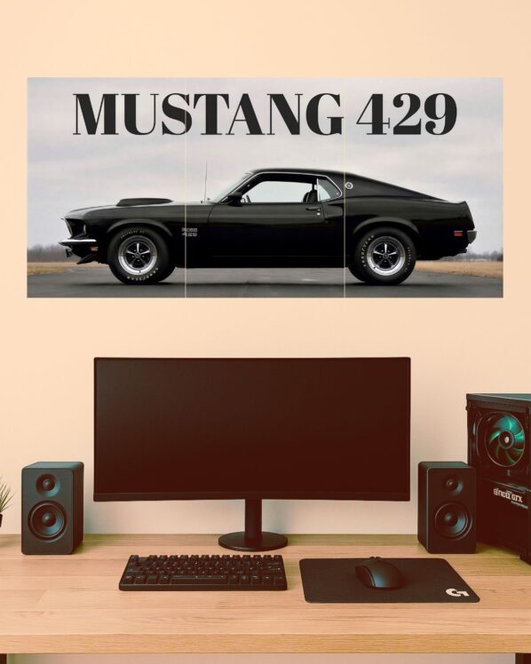 Mustang 429 3-piece set