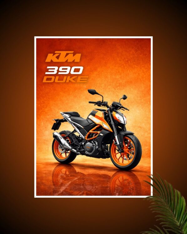 KTM 390 Duke Bike